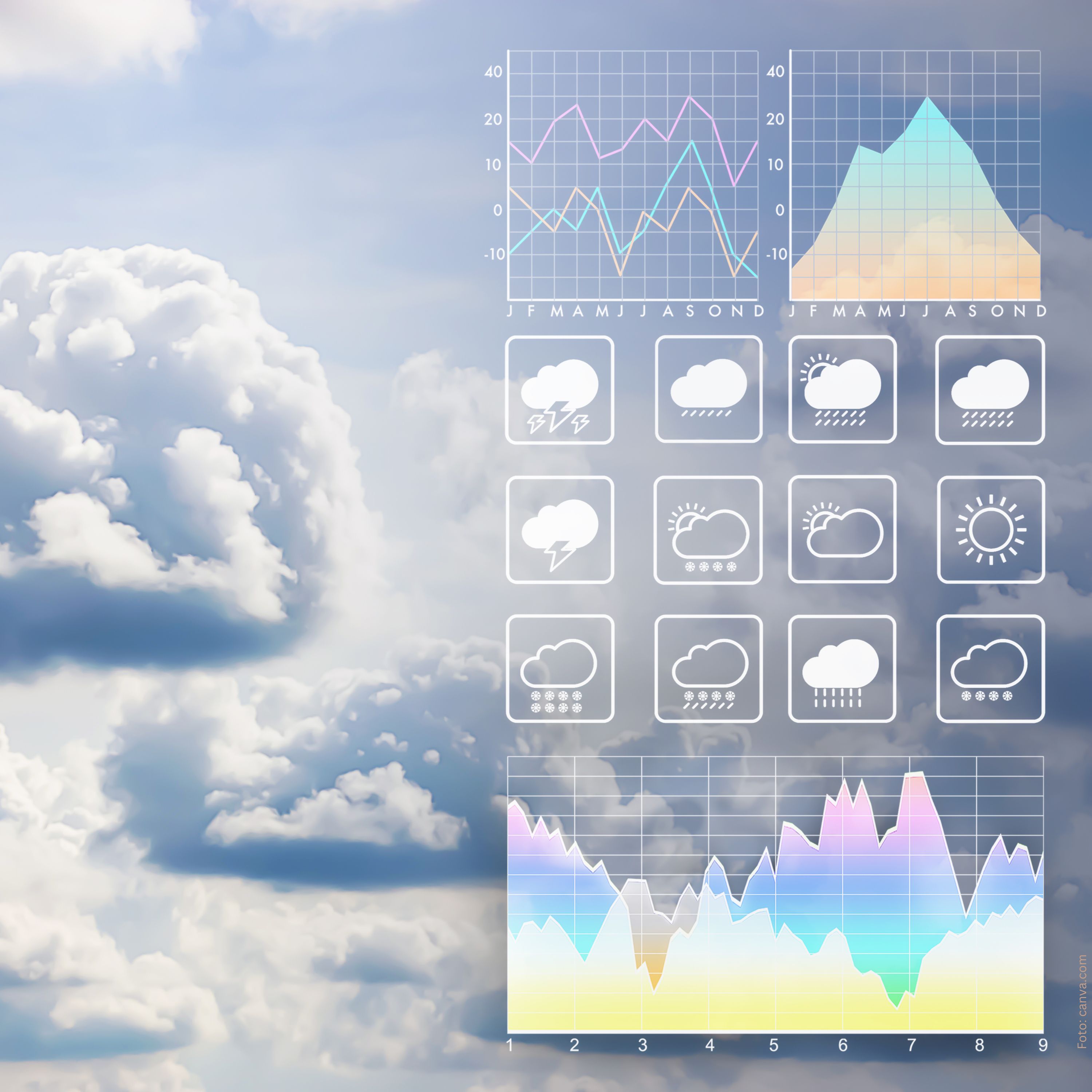 Portrait Prof. Dr. Andreas  Hense 