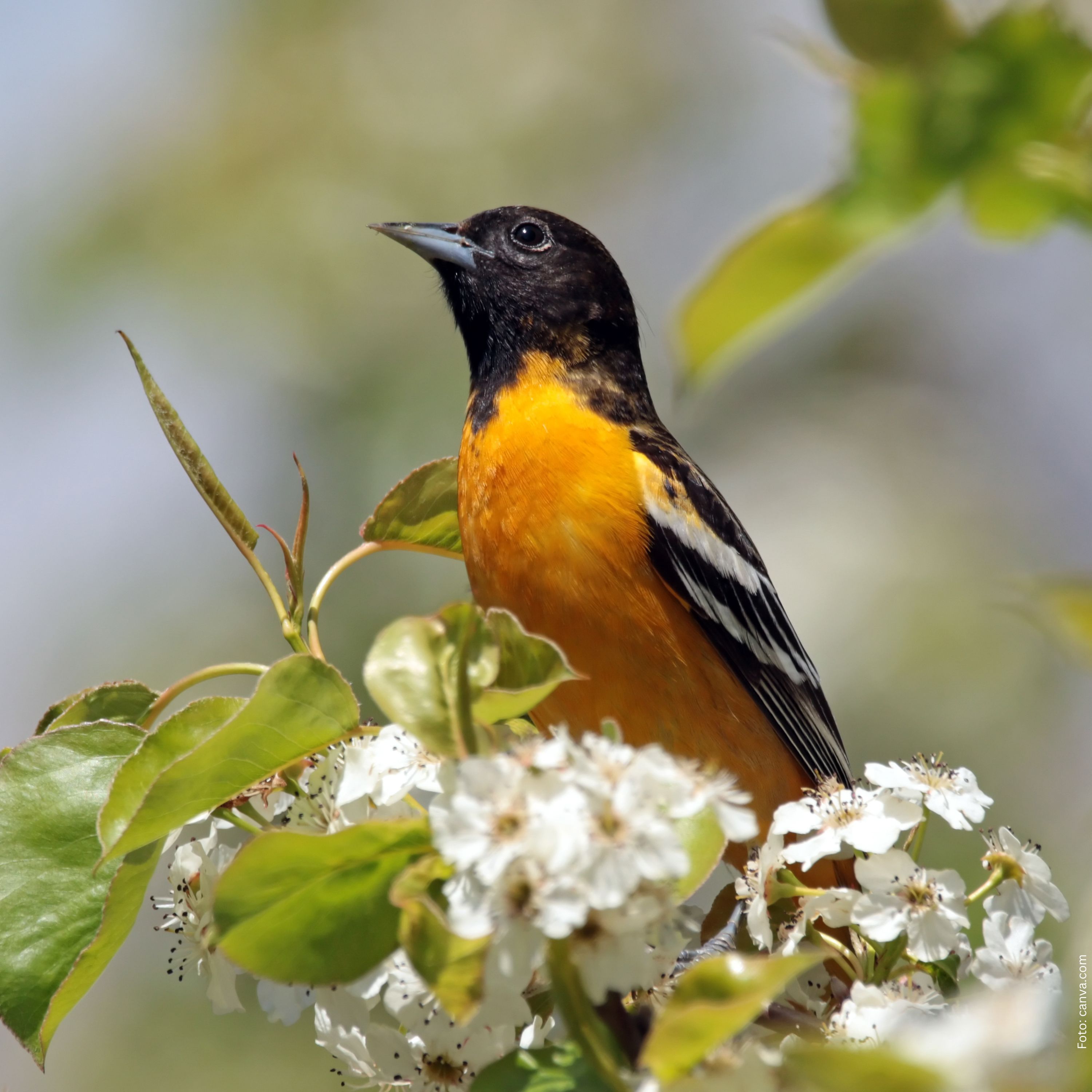 Portrait Franz Reiter
